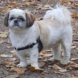 Meet your Posher, Edna